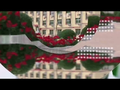 Food addictive sweetener Natural low calorie sweetener Organic Allulose sugar  D-psicose low energy